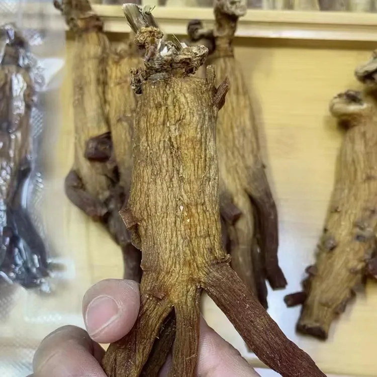 高丽参原支50-60克/支二级货瑕疵参原皮原色足干无糖无硫