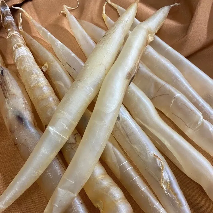 【雨夕花胶】马来黄金鳗鱼胶25头鳝肚 鱼胶花胶滋补营养送礼佳品