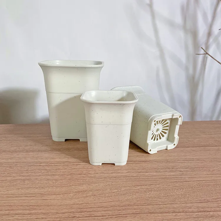 依然园艺多肉专用方形万象盆玉露景天扦插育苗塑料高腰盆酢浆草盆