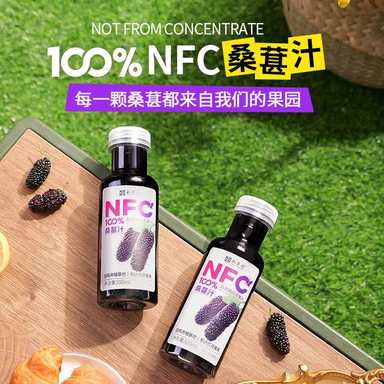【NFC100%桑葚汁】黑桑葚原汁鲜榨果汁果蔬汁不添加水糖天然营养b