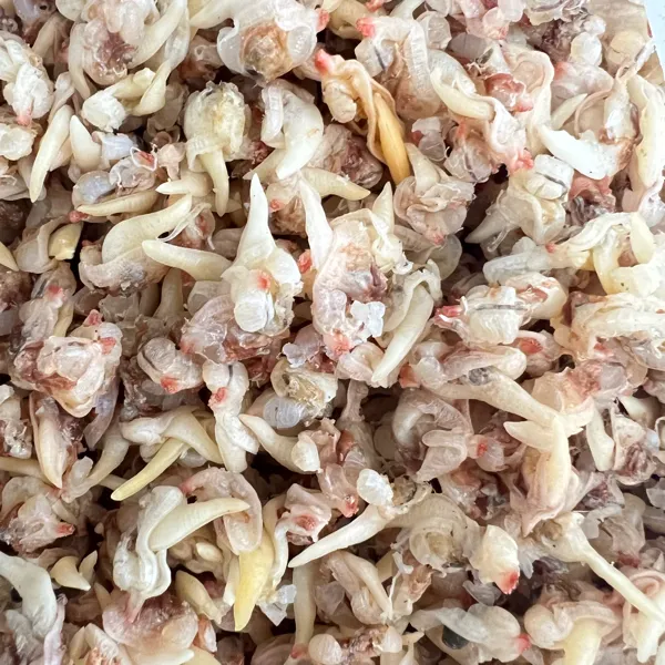 福建特产黄蛤干500g/袋