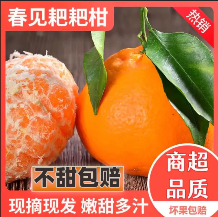 正宗春见耙耙柑产地直发新鲜水果香甜肉厚细嫩多汁精选品质皮薄
