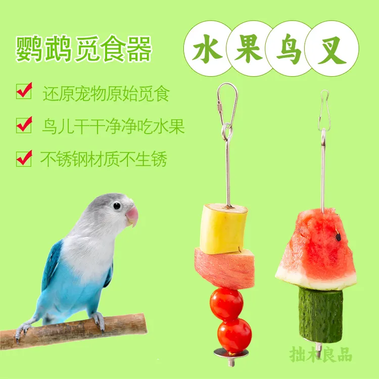 鸟用不锈钢水果叉挂钩鹦鹉喂食器鸟笼绣眼鸟果叉专用水果夹水果棒