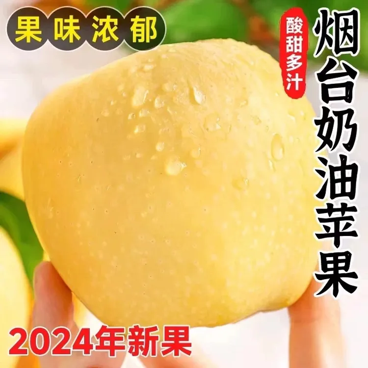正宗黄金奶油富士苹果山东烟台冰糖心水果新烟台新高原糖黄元帅