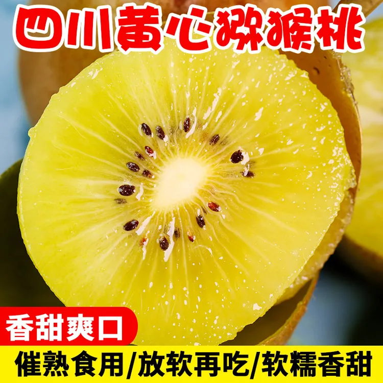 【坏果包赔】正宗四川国产黄金奇异果黄心猕猴桃现摘水果香甜多汁