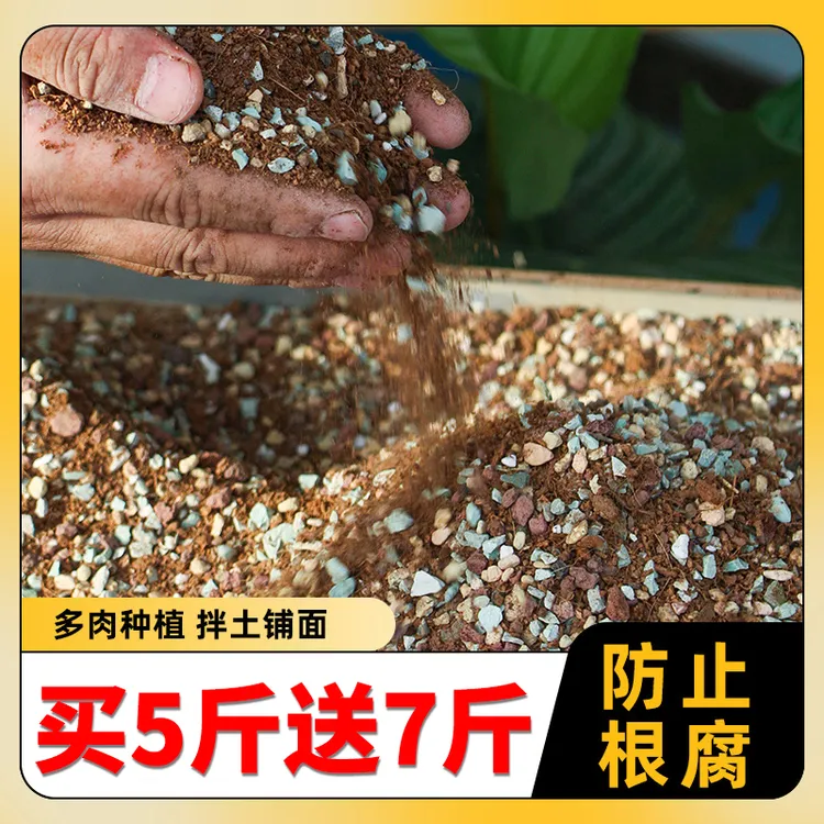 【买五斤送七斤】多肉专用颗粒土适合种植疏松透气有机发根思威博商品图