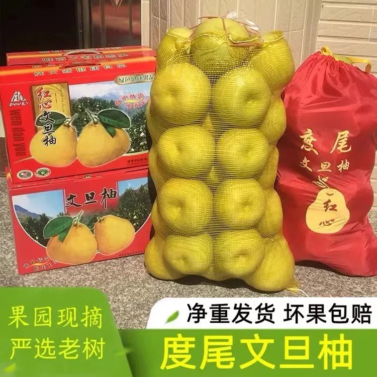 正宗福建仙游度尾文旦柚红心30蜜柚当季柚子孕妇新鲜维生素c水果