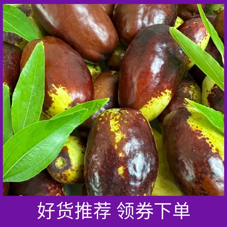 新鲜采摘正宗宁夏灵武长枣/鲜枣3/5/10斤整箱包邮产地现货发货