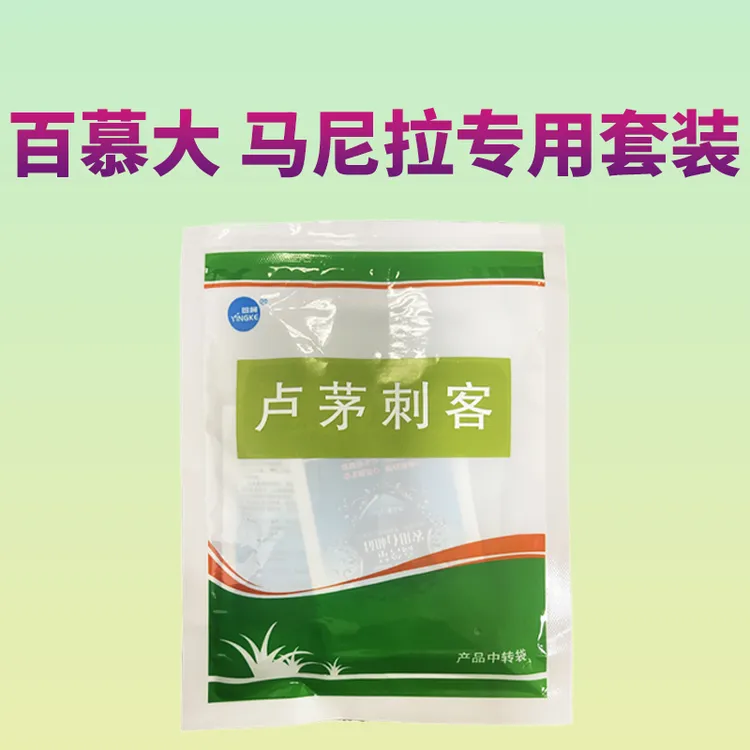卢茅刺客套装百慕大马尼拉台湾草兰引三号用