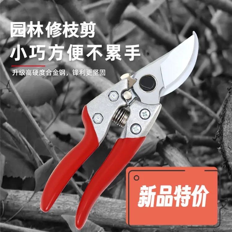 德国精工艺园剪刀剪树枝专用剪刀修枝剪园林果树修花原装sk5剪子