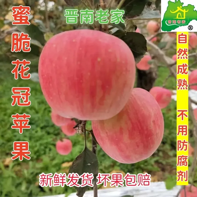 晋南老家蜜脆花冠苹果 爽口脆甜多汁重量3斤5斤8斤起包邮自然味道