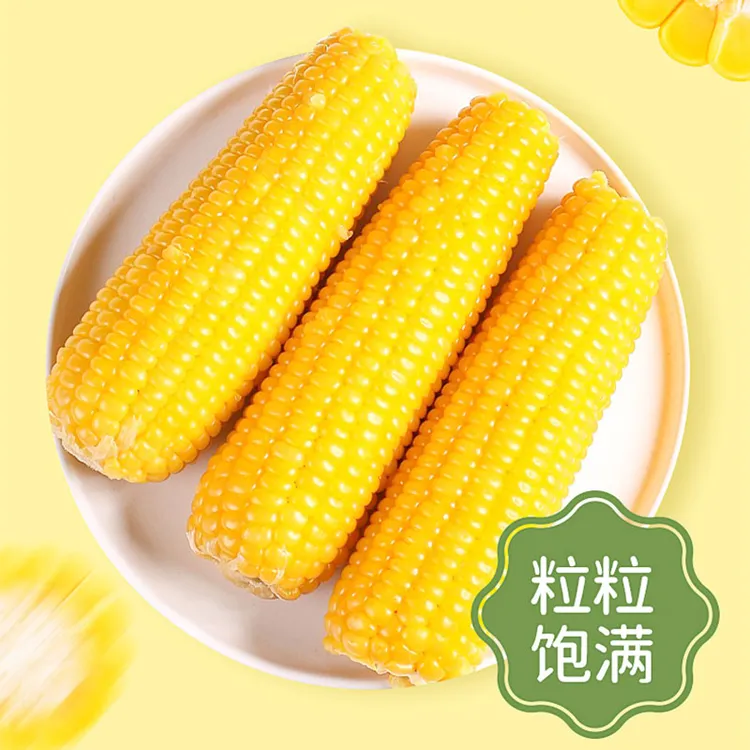 【25年头茬新黄糯玉米】5斤装新玉米东北粘苞米8至10穗(试吃2穗)