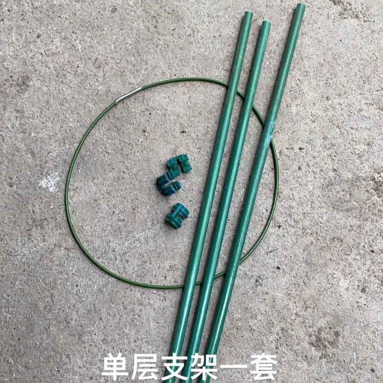 蟹爪兰（锦上添花）等吊兰类植物专用支撑铁架