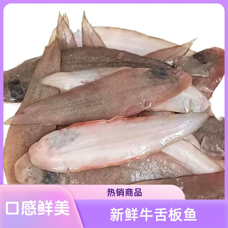 特大比目鱼大连新鲜舌头鱼（6条鱼4.2斤）渤海湾踏板鱼鳎目鱼牛舌鱼