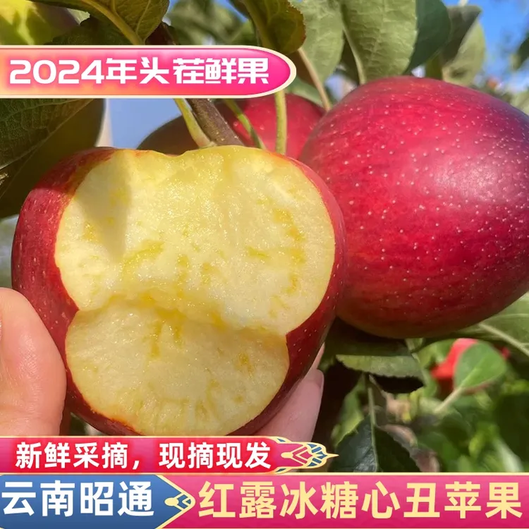 红露苹果冰糖心云南酥脆高原天然原生态新鲜采摘脆甜多汁自然成熟