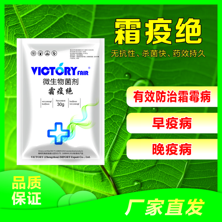霜疫绝微生物菌剂 霜霉早晚疫病一袋一壶水粉剂防治一体
