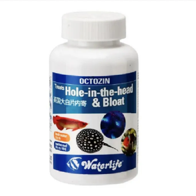 英国正品大白片水族内外寄龙鱼雷龙内外寄趴缸头洞厌食水族调理