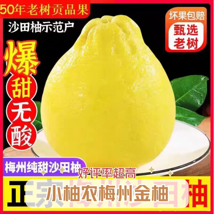 梅州金柚小柚农精选高山老树甜柚沙田柚纯甜无酸礼品水果