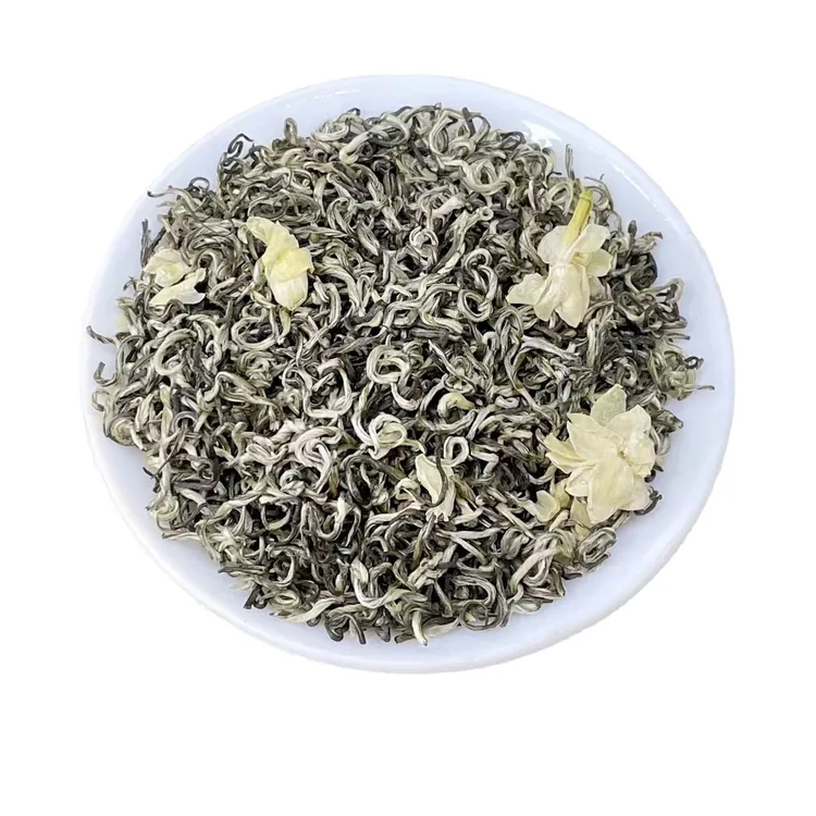 2025茉莉飘雪浓香全单芽横县茉莉花茶浓香耐泡