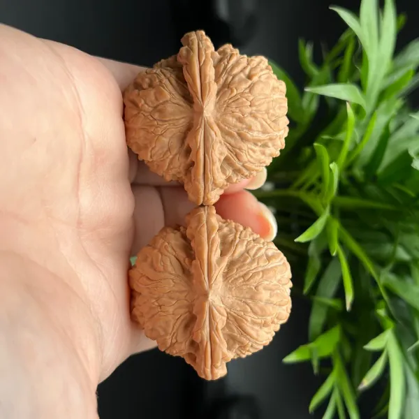 专拍链接四座楼血麒麟宫灯蛤蟆头苹果园等品种一物核桃一图大粗筋