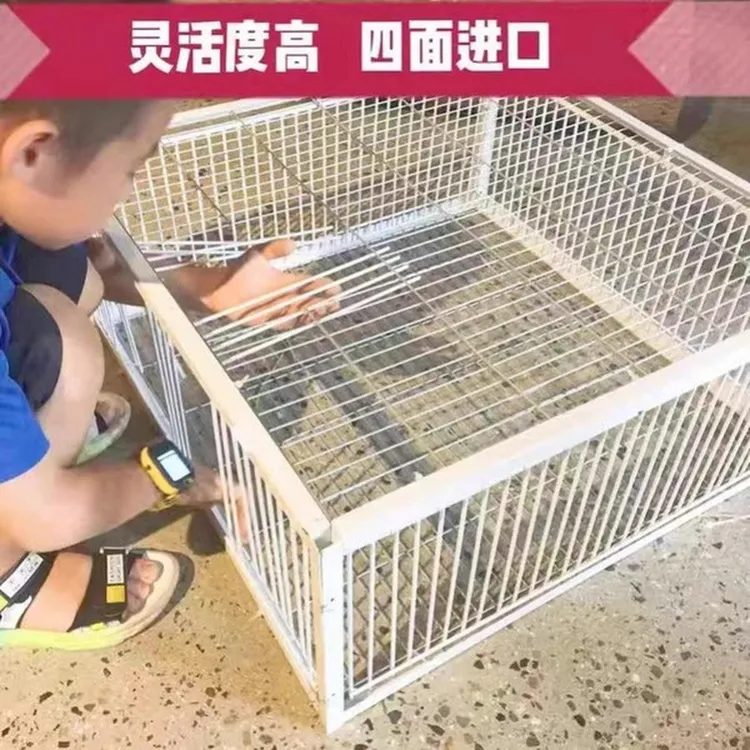 新款加密天落鸽子笼只进不出自动撞门笼四面埋伏诱捕笼鸽子