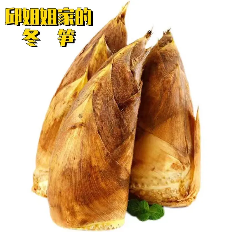 湖南靖州冬笋新鲜产地现挖楠竹笋苗侗高山笋鲜健康爽脆放心