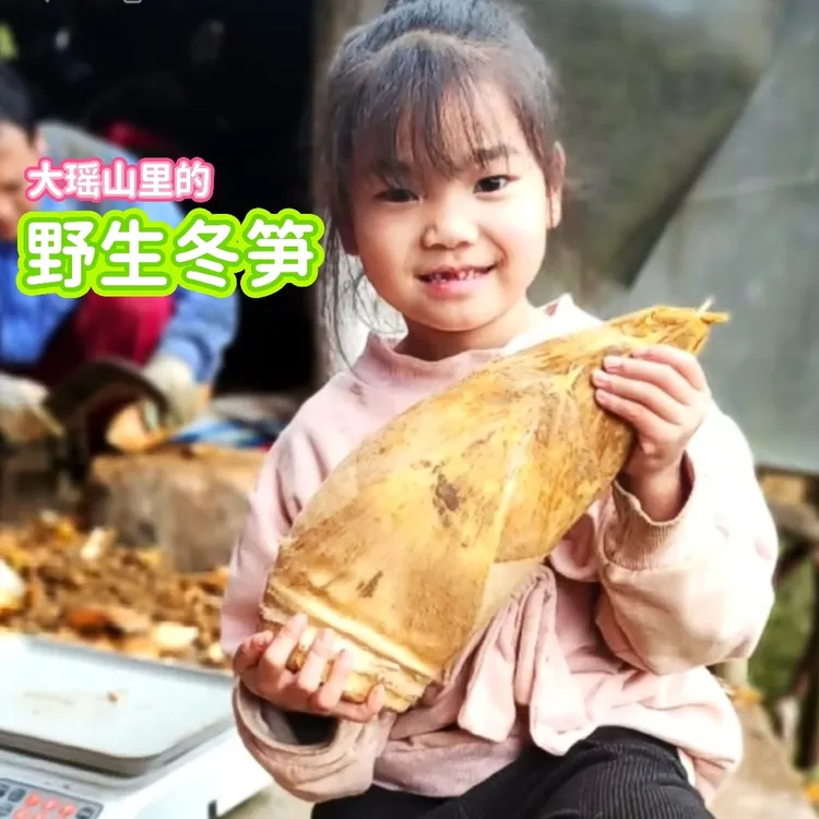 江华竹笋去壳鲜嫩黄土地现挖新鲜毛竹冬笋