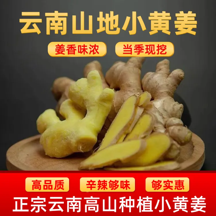 云南小黄姜香味浓郁【现挖新姜】辛辣够味山地种植产地直销生姜
