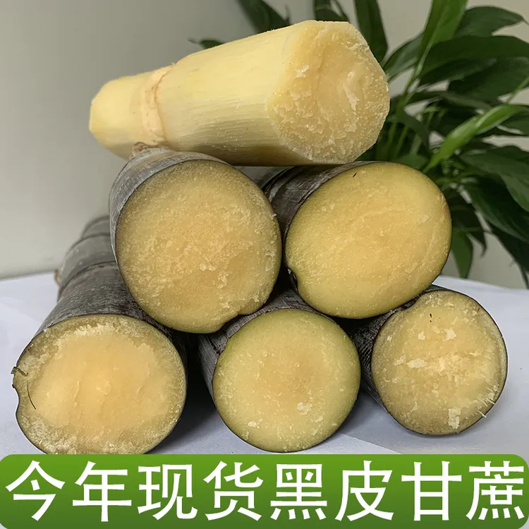 广西桂林阳朔黑皮甘蔗新鲜脆甜多汁 5斤/9斤
