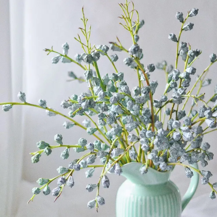 尤加利果鲜切花花材可做干花好养护