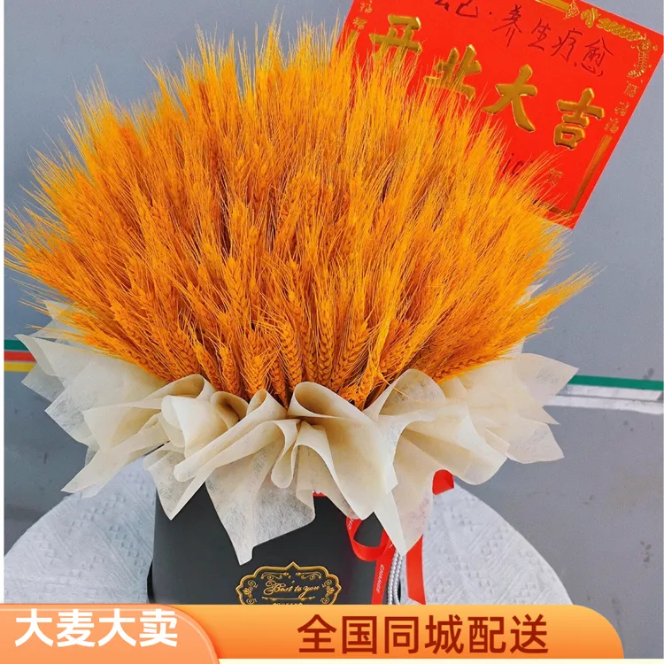 成品大麦抱抱桶开业乔迁礼物手提篮花束