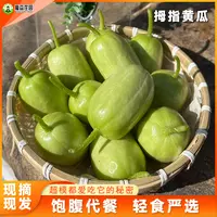 山东金童玉女小黄瓜新鲜拇指黄瓜1/5斤白玉青瓜包邮手指迷你水果