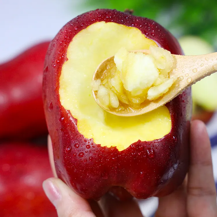 甘肃天水花牛苹果新鲜水果脆甜红蛇果产地直发高山现摘粉面苹果