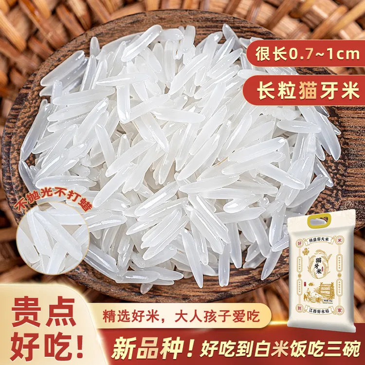 [长粒品种]尊品猫牙米25年新米生态梯田米产地直发软香甜一年一季