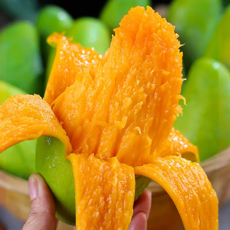 （生熟）广西百色金煌芒5/10斤当季新鲜水果高山大青家庭装芒果