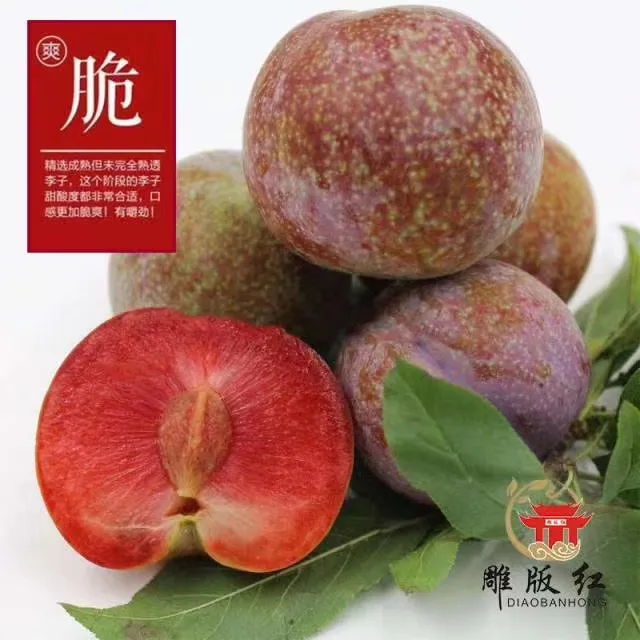 新鲜现摘红心芙蓉李三华李当季水果酸甜可口适合孕妇非新疆恐龙蛋