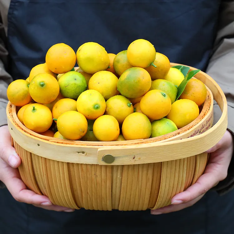 【自然搭档】广西融安小金桔2斤/4斤装新鲜应季水果滑皮金桔