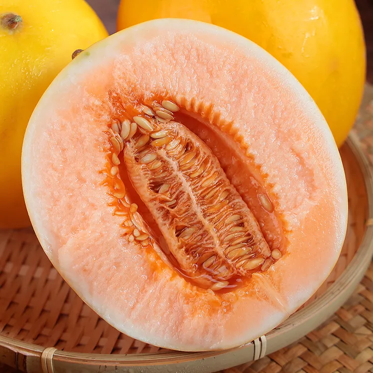 【自然搭档】甘肃民勤沙漠蜜瓜4-9斤新鲜水果金红宝蜜瓜 多仓发货ZB