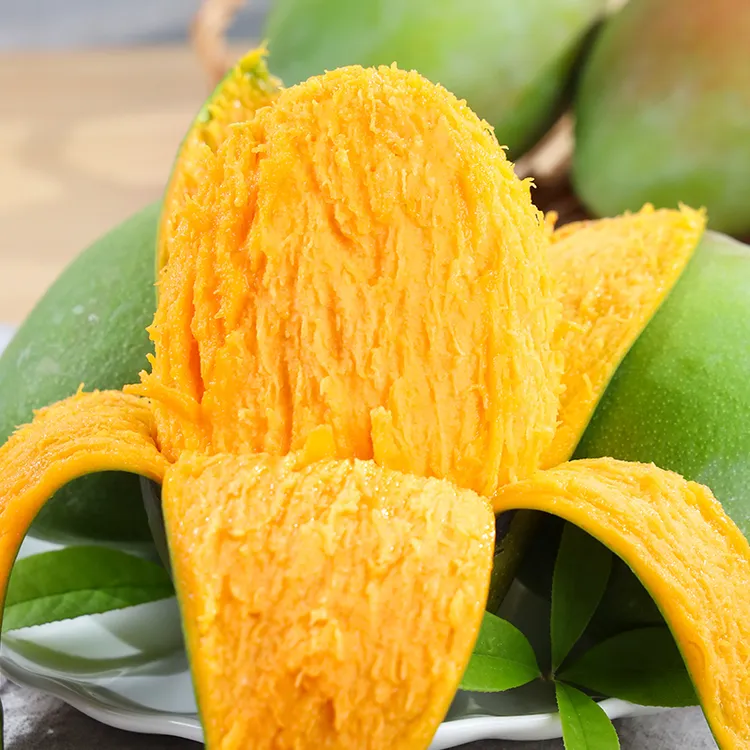 【自然搭档】四川攀枝花凯特芒3-9斤新鲜当季水果芒果 多仓发货