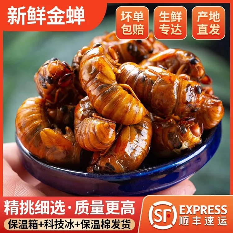2025新鲜活体速冻 大知了猴 金蝉爬叉猴结了龟唐僧肉爬蚱