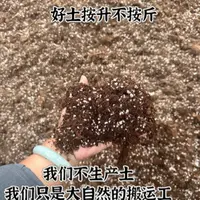 国庆中秋节福利蓝莓专用酸性介质土 生根壮根介质体积12L