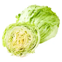 球生菜 约500g