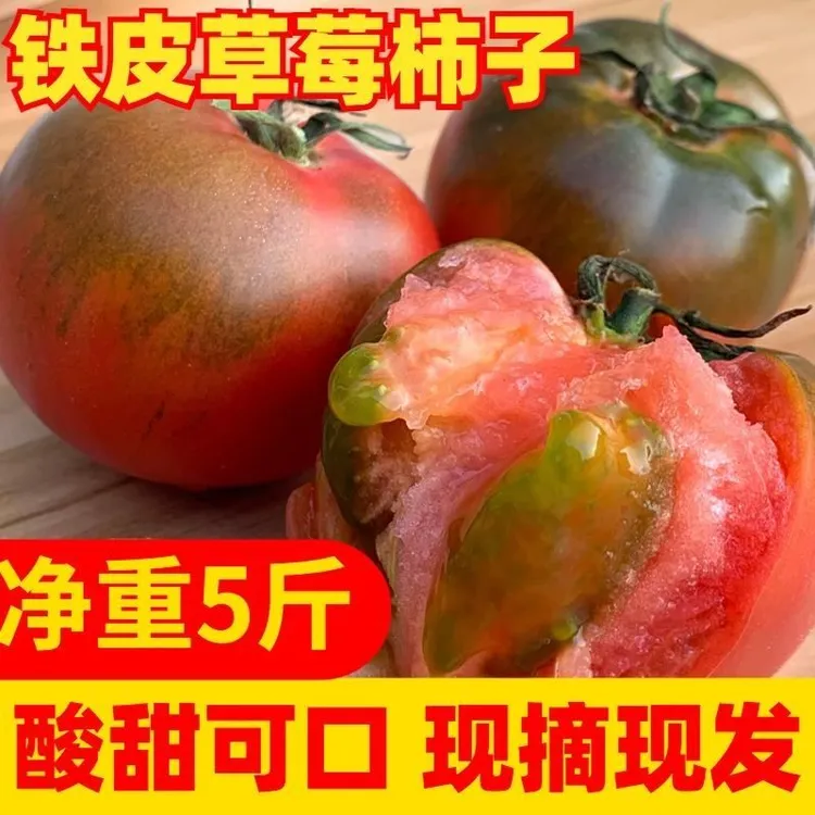 福建铁皮草莓柿子油柿子碱地柿子草莓番茄5斤装西红柿包邮
