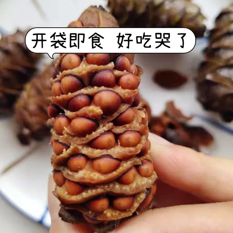 25新货大兴安岭特产松树塔盐水煮松塔松果坚果零食儿童出游松子