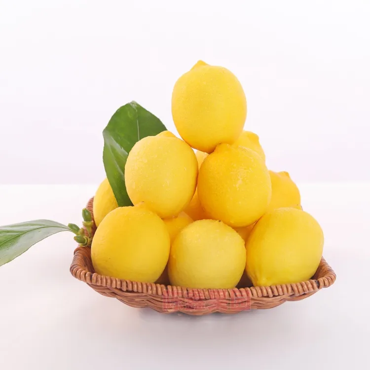 【25年新果】现摘现发四川安岳新鲜黄柠檬原产地直发
