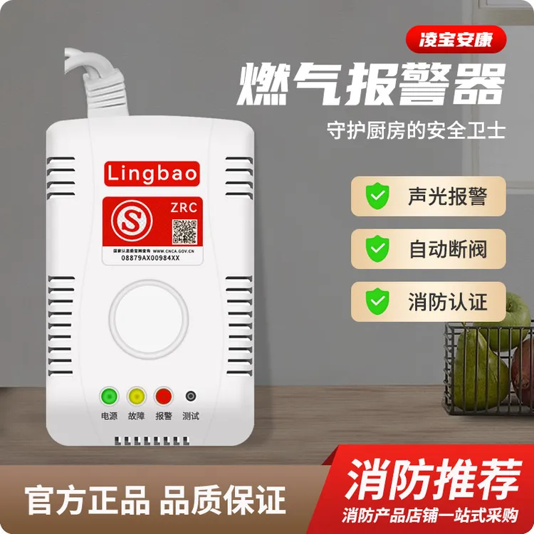 燃气报警器家用厨房餐饮可燃气体探测装置商用液化预防煤气报警器