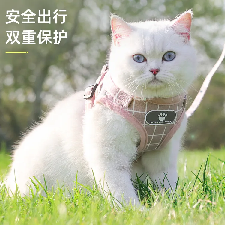 朵猫猫猫咪牵引绳可调节宠物背心挣脱专用外出反光透气出门遛狗