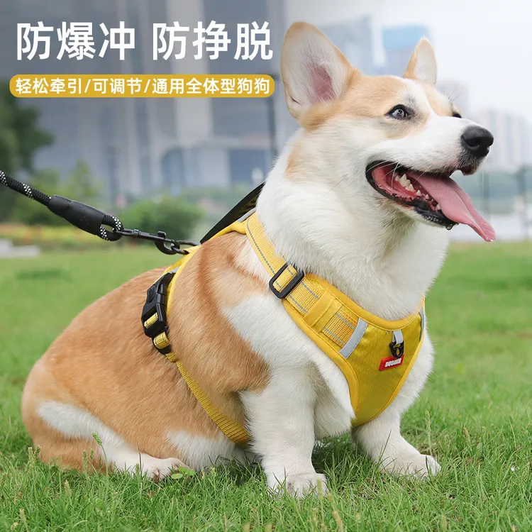 宠物胸背带舒适遛狗大狗防爆冲中大型犬耐用狗绳牵引绳