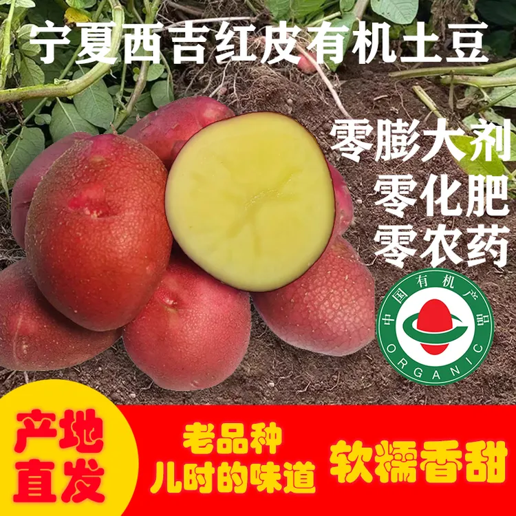 宁夏西吉高原有机红皮土豆当季马铃薯老品种(李琬有机菜)