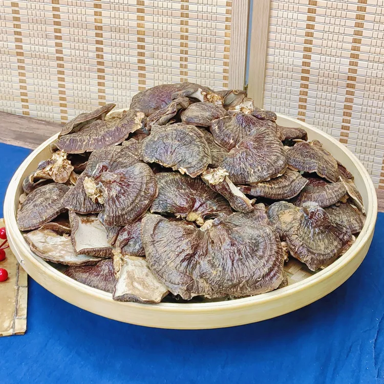 【雯姐滋补】正宗金边芝芝菌菇250g 菌味浓郁煲汤煲水